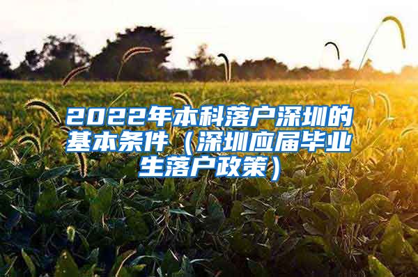 2022年本科落户深圳的基本条件（深圳应届毕业生落户政策）