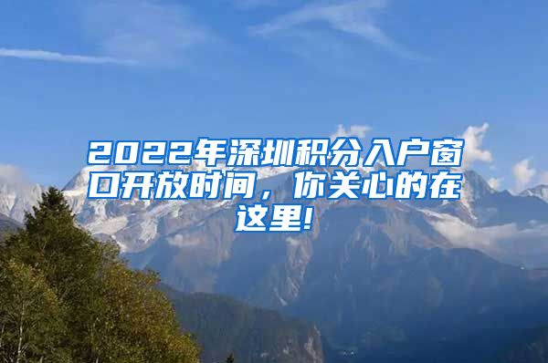 2022年深圳积分入户窗口开放时间，你关心的在这里!