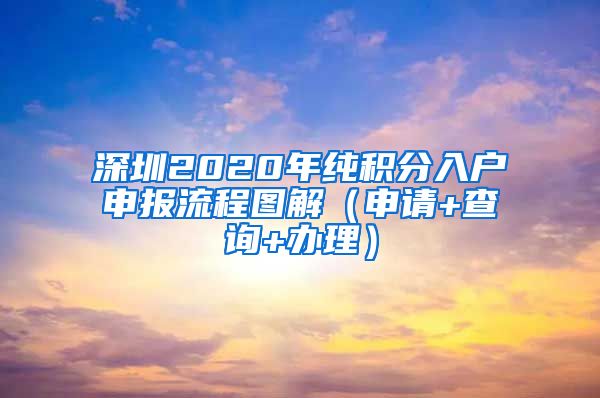 深圳2020年纯积分入户申报流程图解（申请+查询+办理）