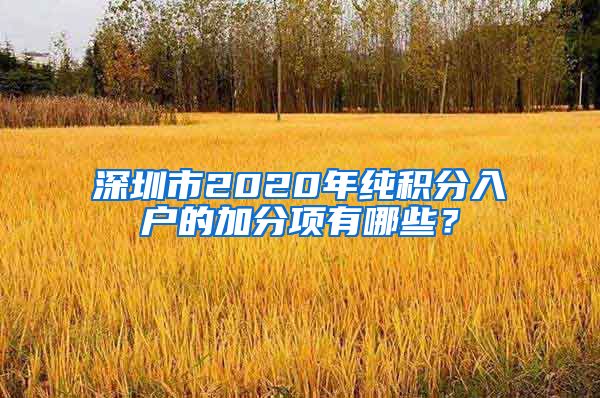 深圳市2020年纯积分入户的加分项有哪些？
