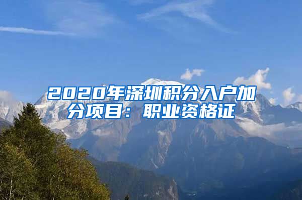 2020年深圳积分入户加分项目：职业资格证
