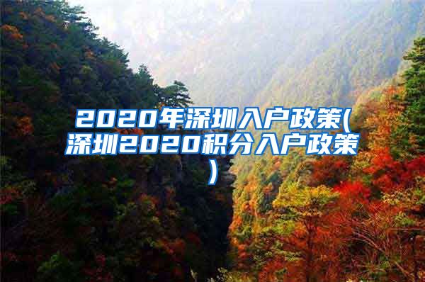 2020年深圳入户政策(深圳2020积分入户政策)