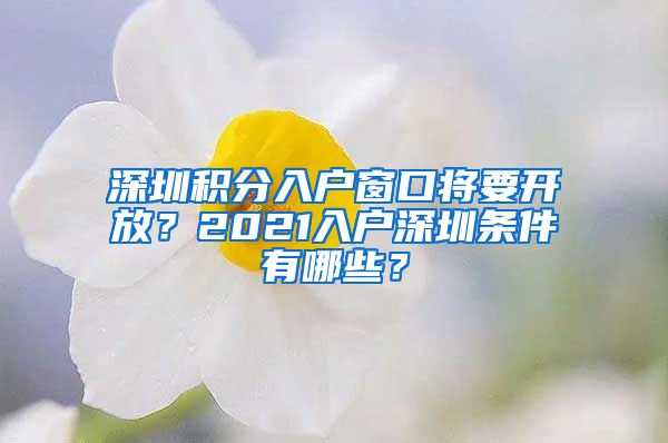 深圳积分入户窗口将要开放？2021入户深圳条件有哪些？