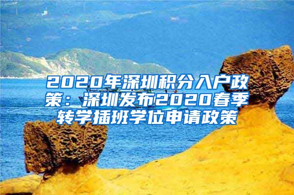 2020年深圳积分入户政策：深圳发布2020春季转学插班学位申请政策
