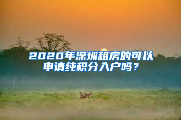 2020年深圳租房的可以申请纯积分入户吗？